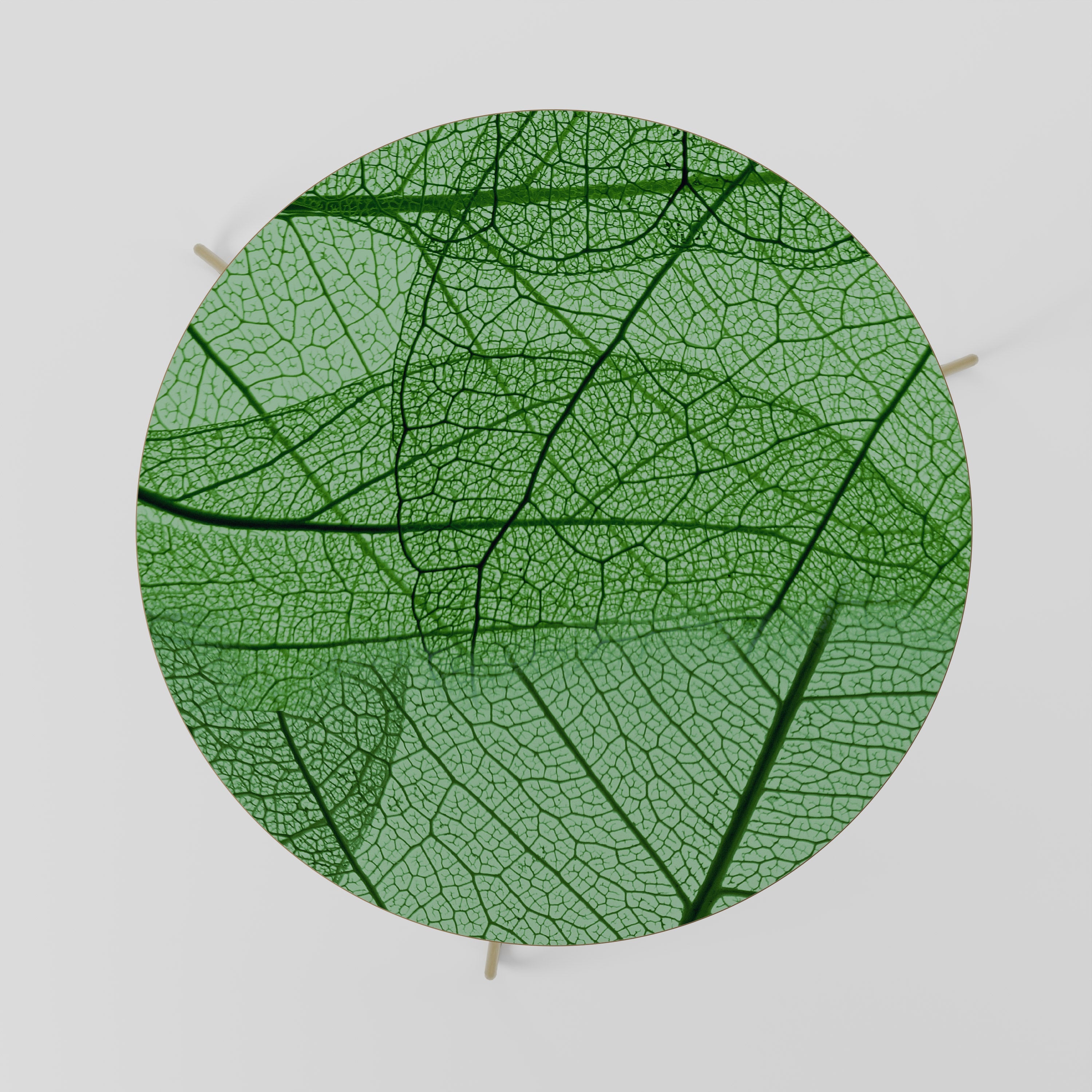 VEINS OF LIFE Coffee Table 69