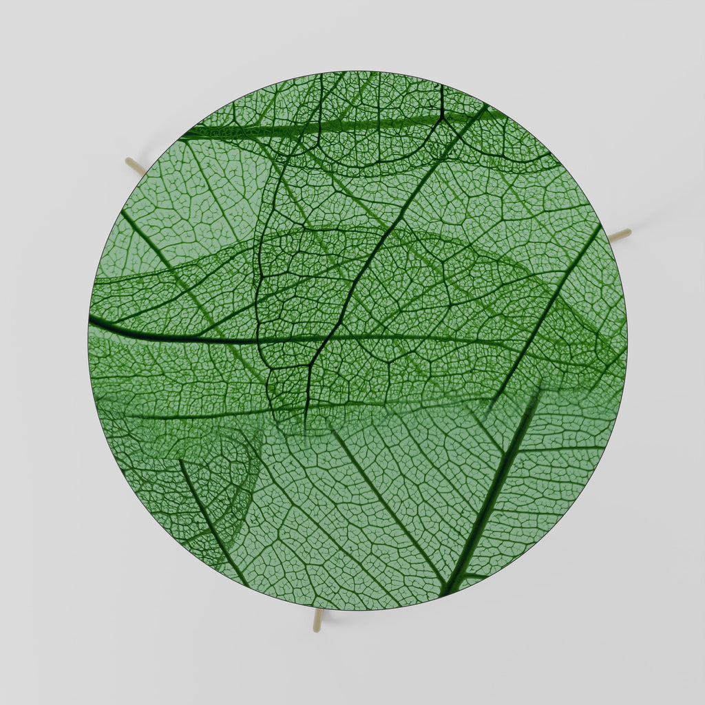 VEINS OF LIFE Mesa de Centro 69