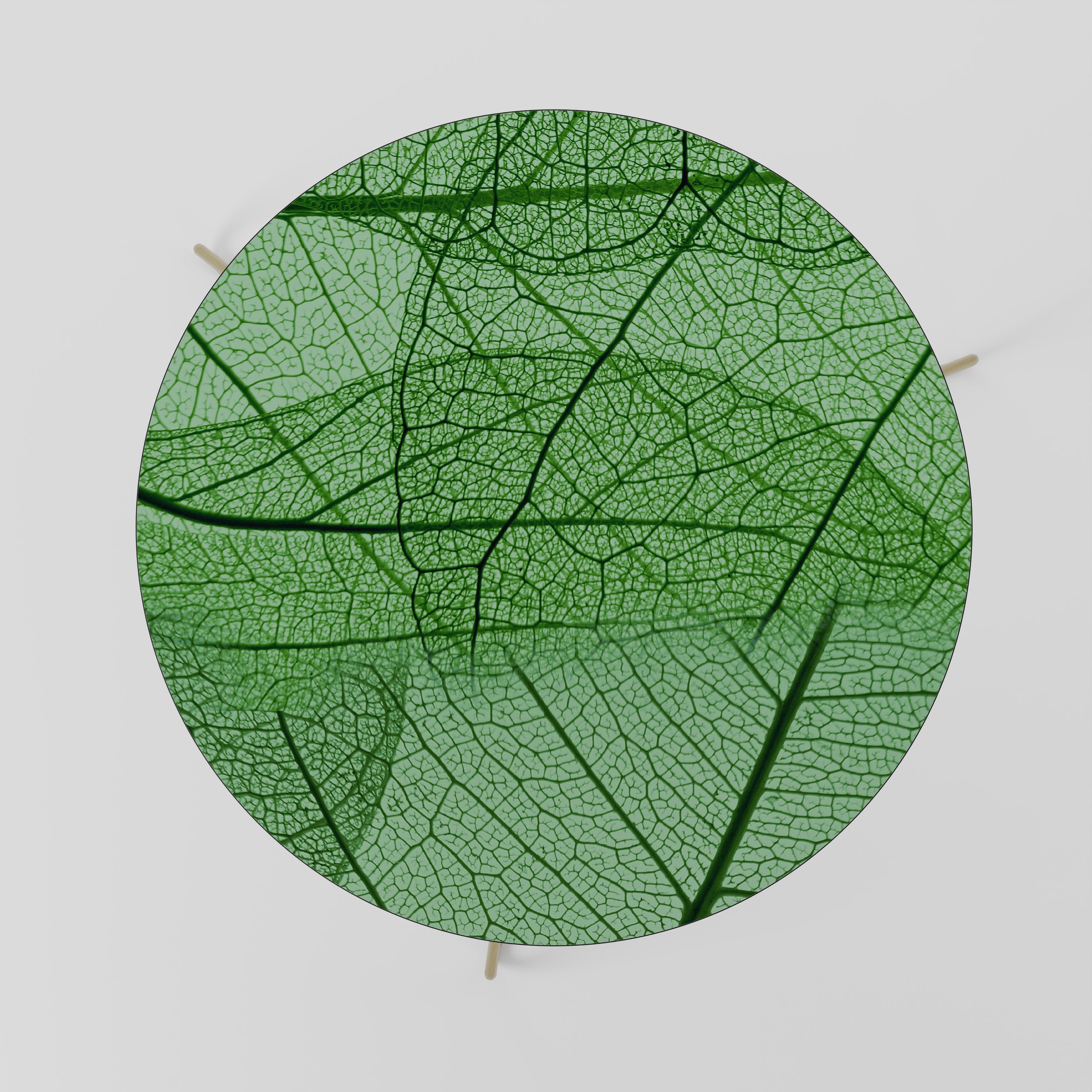 VEINS OF LIFE Coffee Table 69