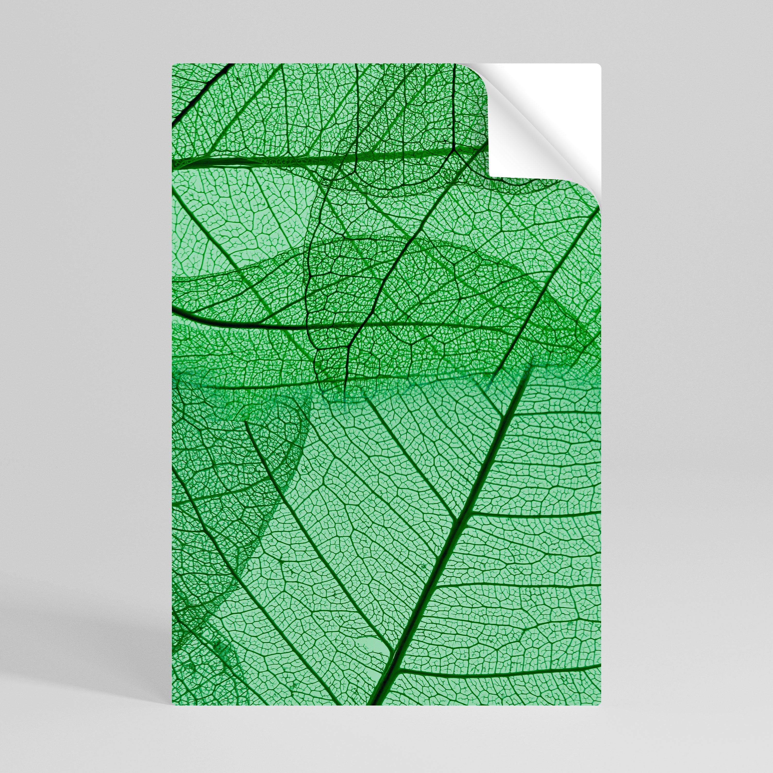 VEINS OF LIFE Poster Vertical Autocolante