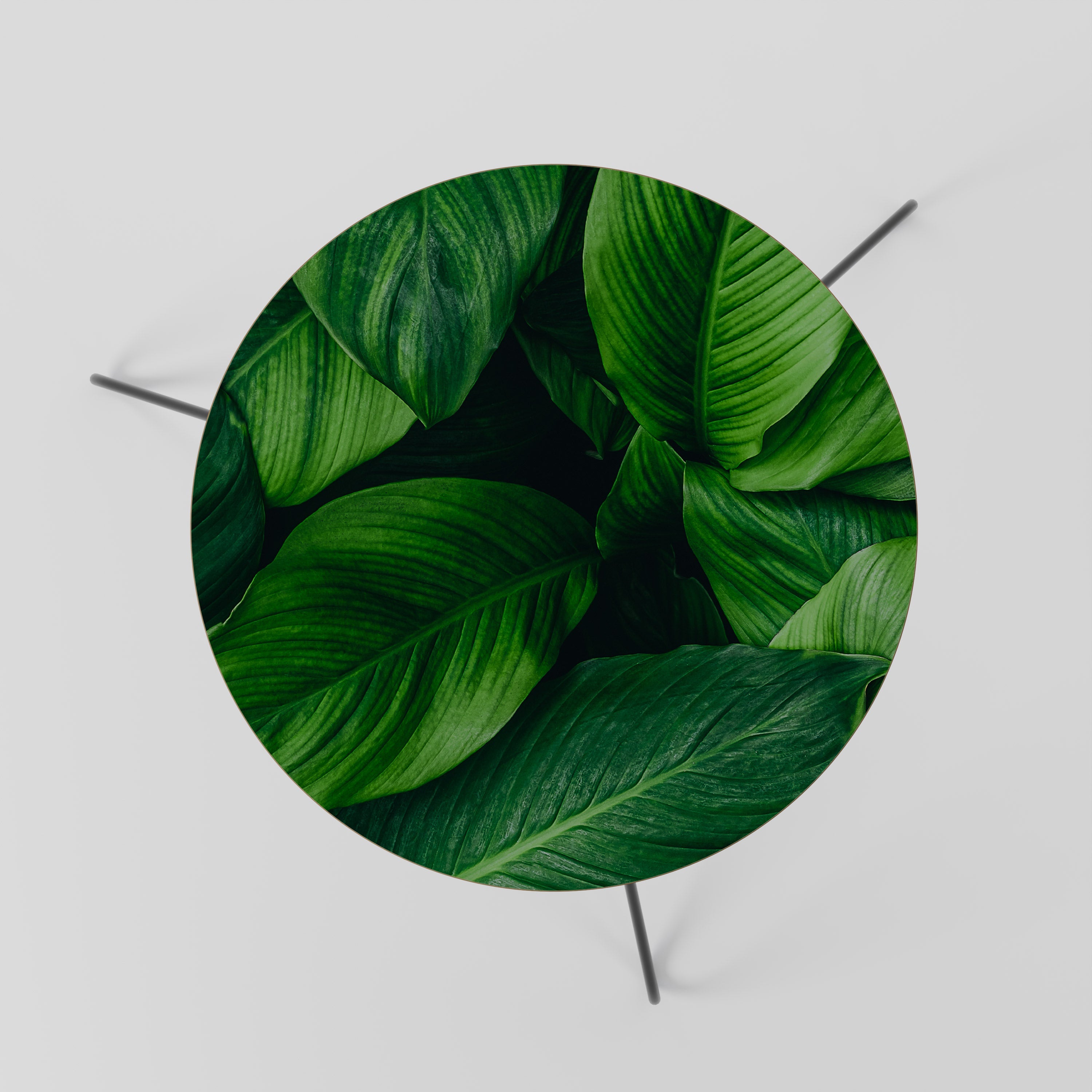 VIBRANT LEAFY EMBRACE Mesa de Centro 60