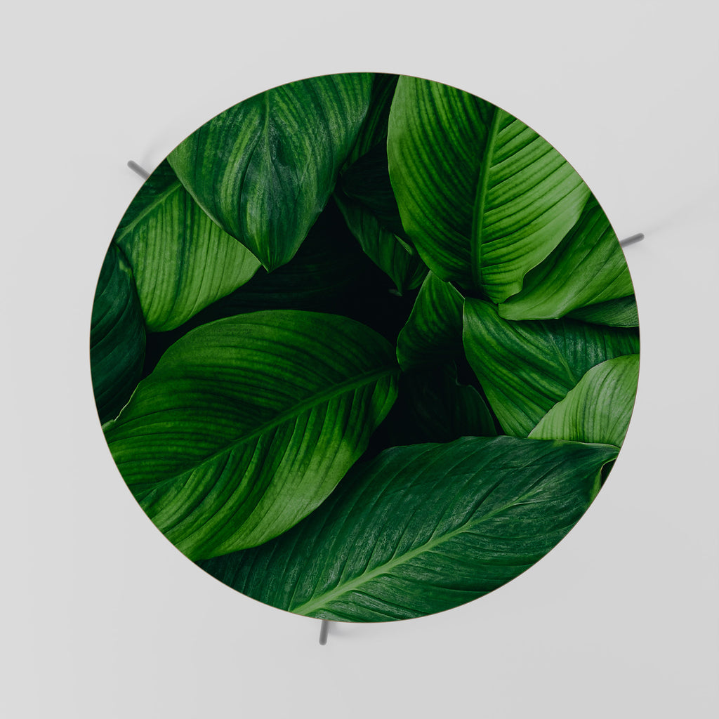 VIBRANT LEAFY EMBRACE Coffee Table 69