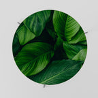 VIBRANT LEAFY EMBRACE Coffee Table 69