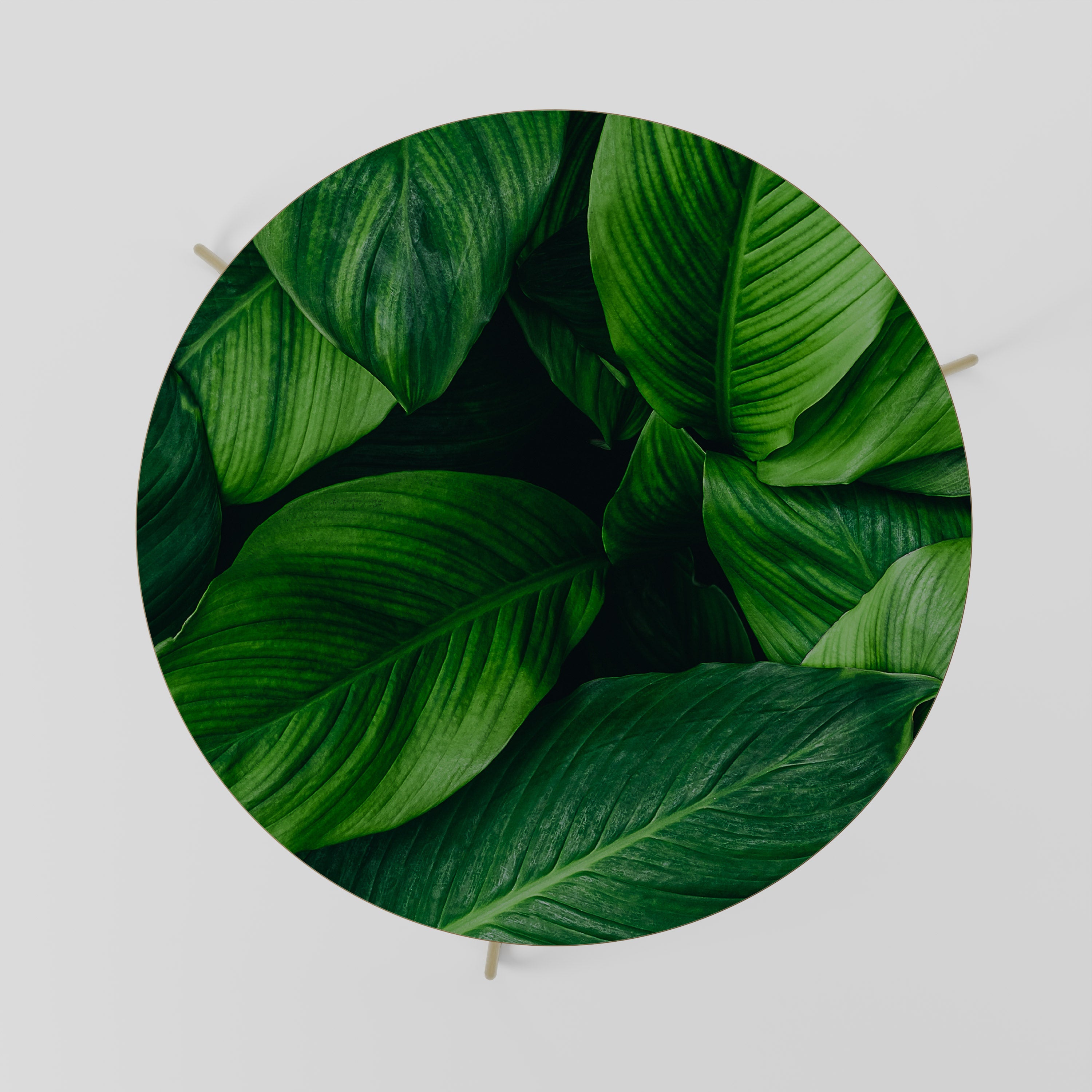 VIBRANT LEAFY EMBRACE Coffee Table 69