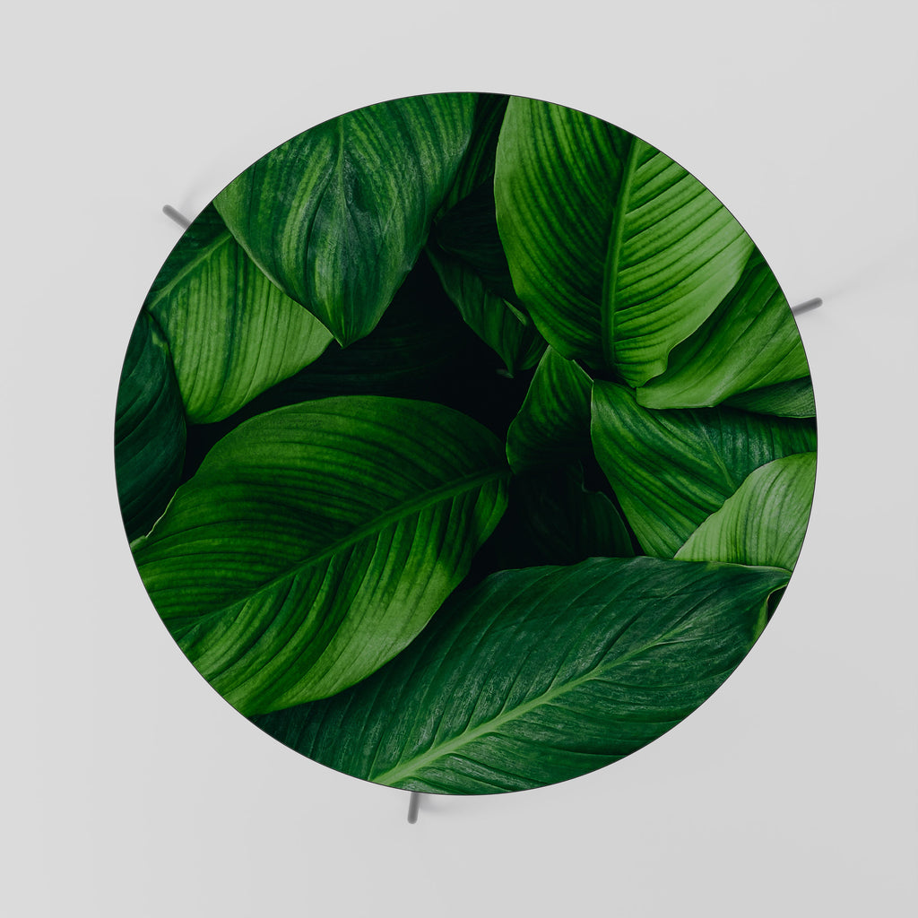 VIBRANT LEAFY EMBRACE Coffee Table 69