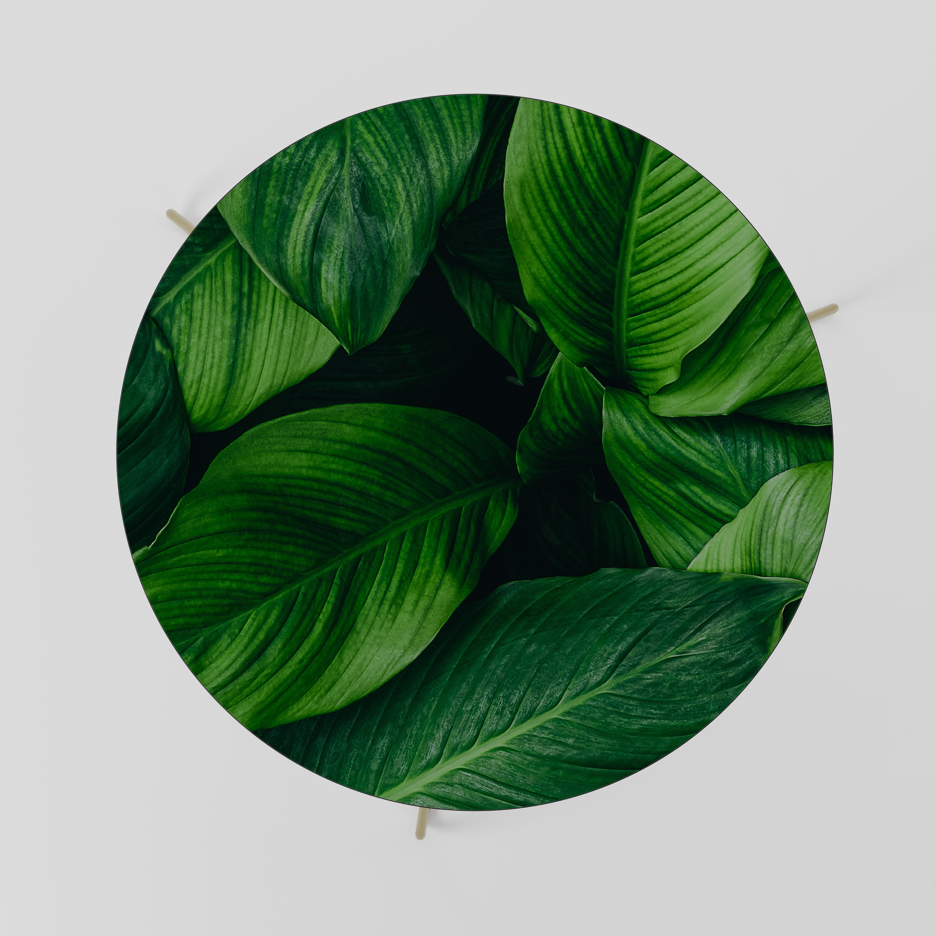 VIBRANT LEAFY EMBRACE Coffee Table 69