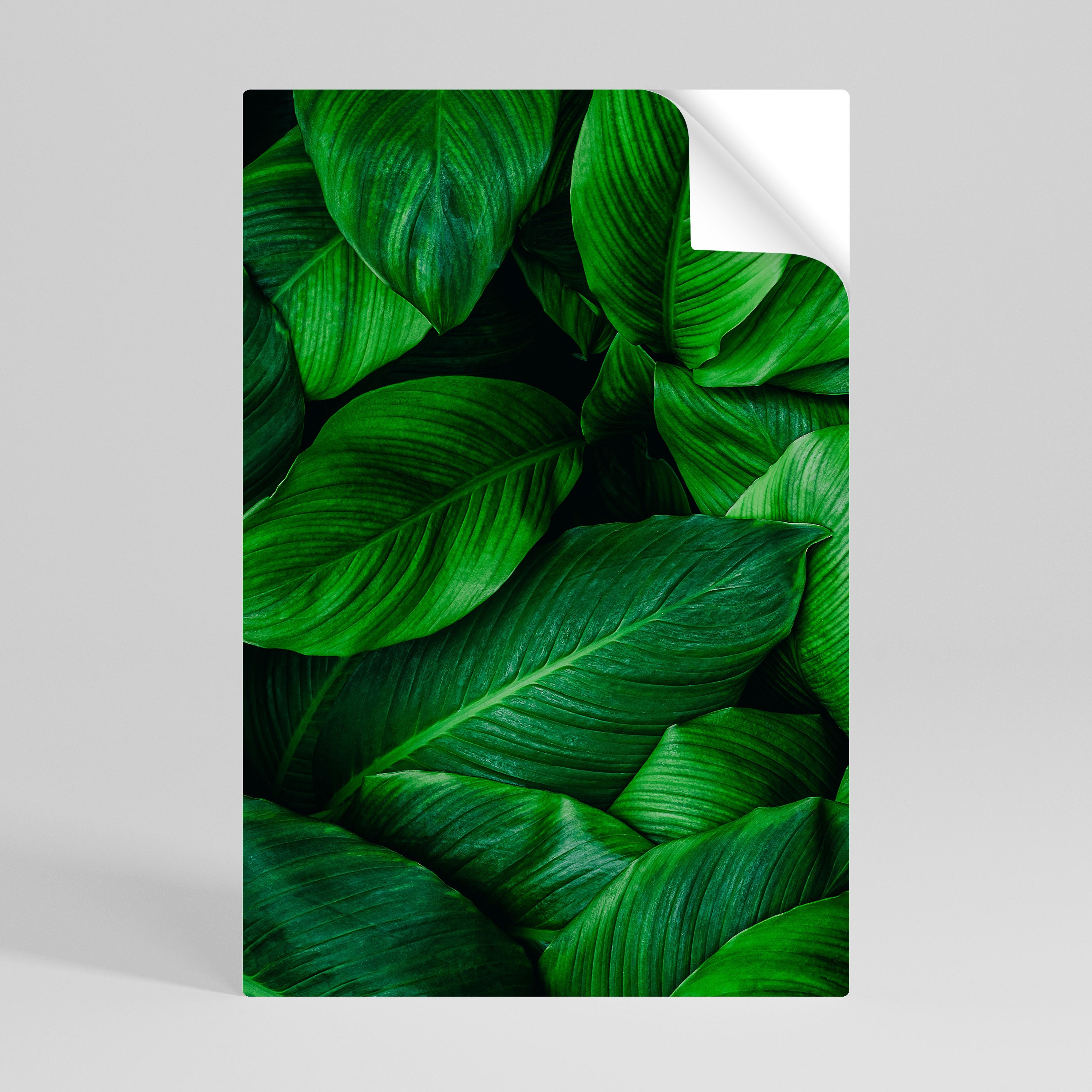 VIBRANT LEAFY EMBRACE Poster Vertical Autocolante