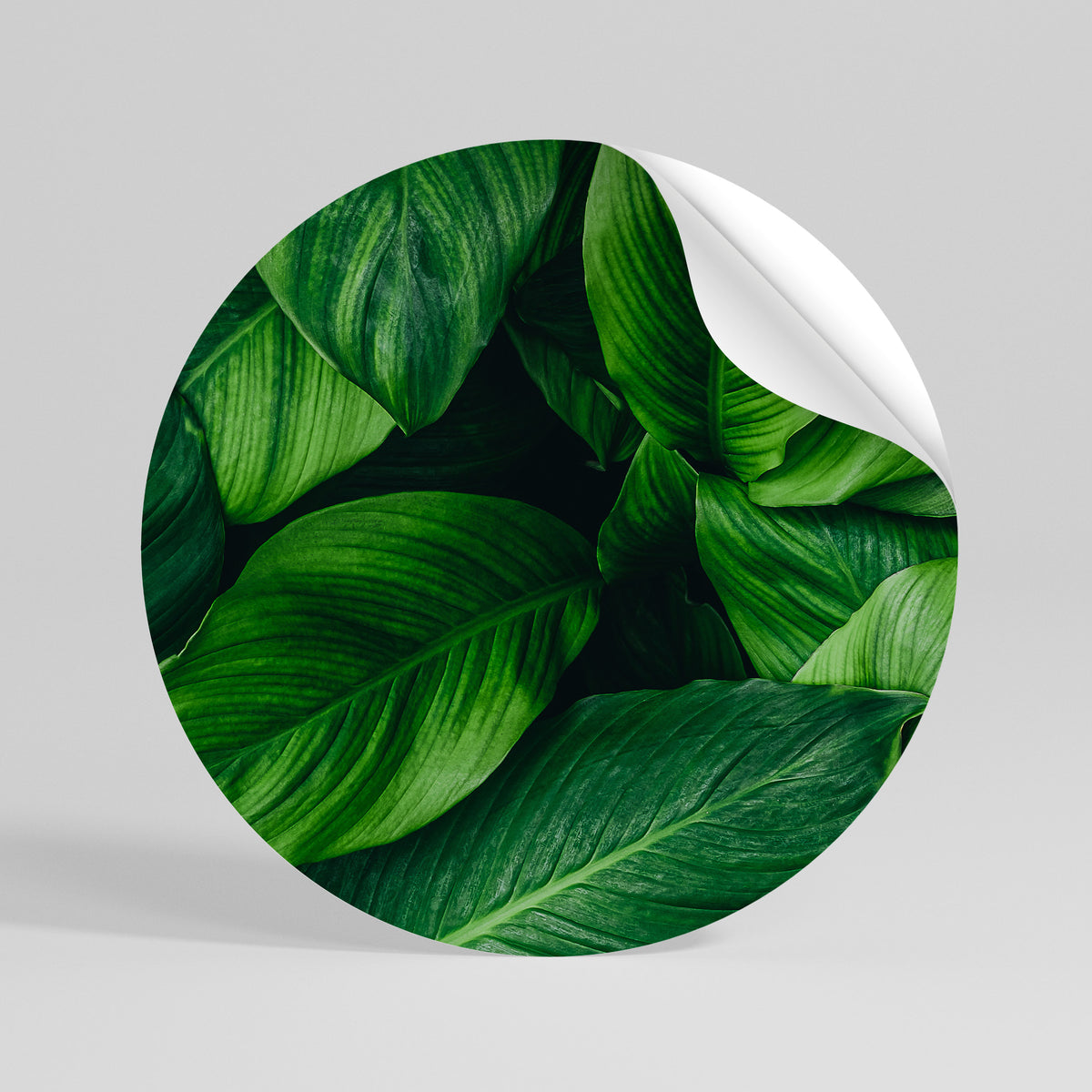 VIBRANT LEAFY EMBRACE Autocolante Redondo Removível