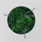 ENCHANTED FOREST RIDE Mesa de Centro 60