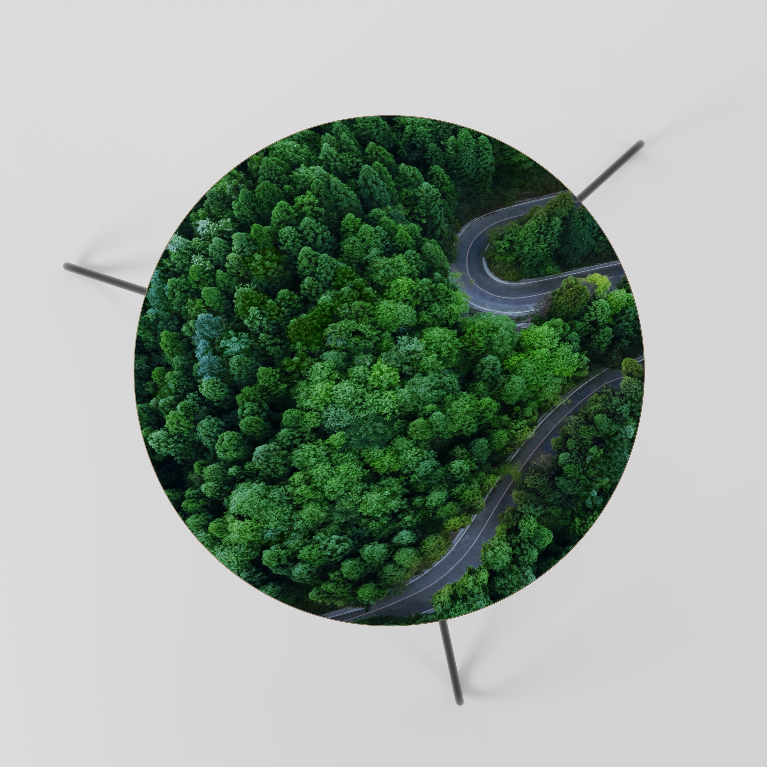 ENCHANTED FOREST RIDE Mesa de Centro 60