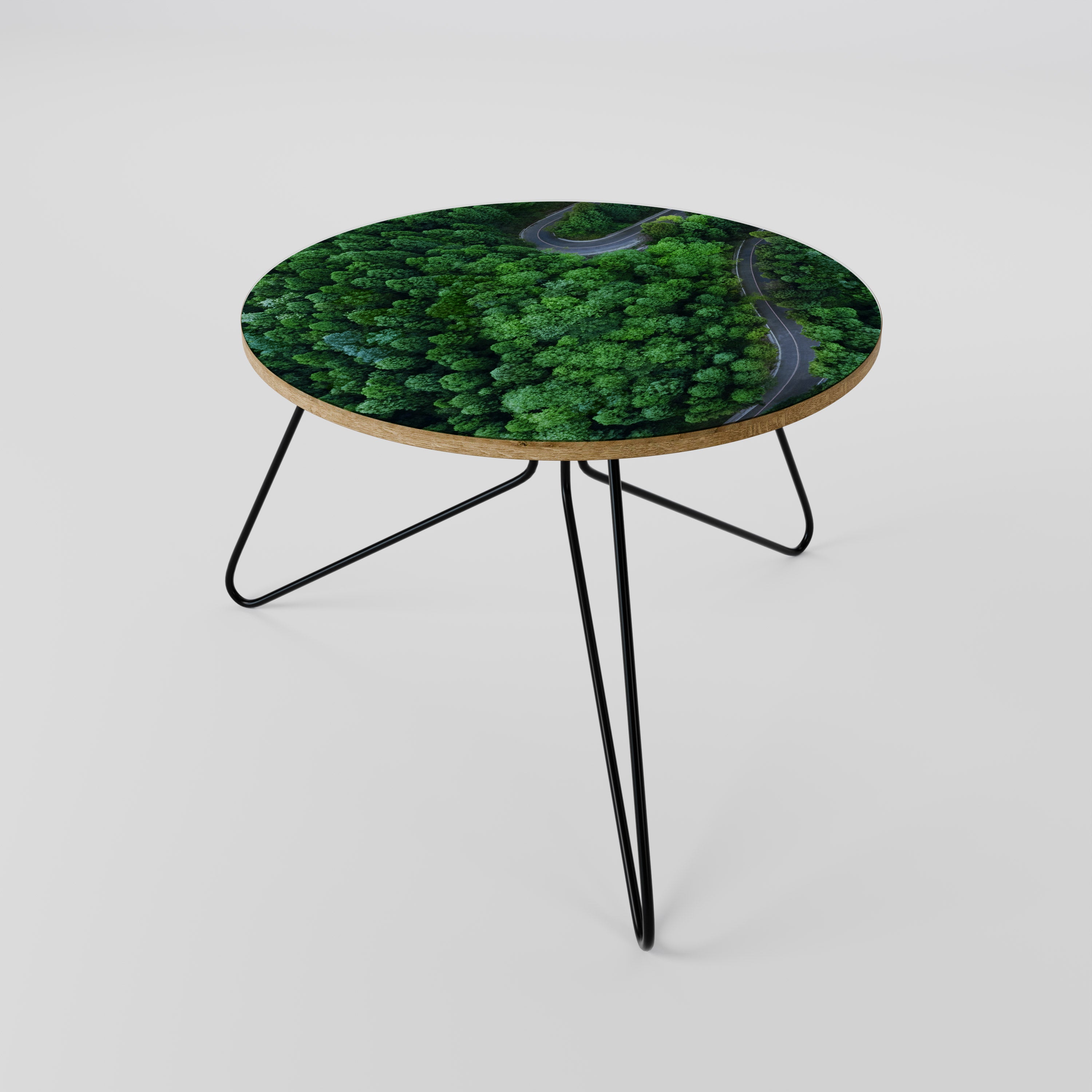 ENCHANTED FOREST RIDE Coffee Table