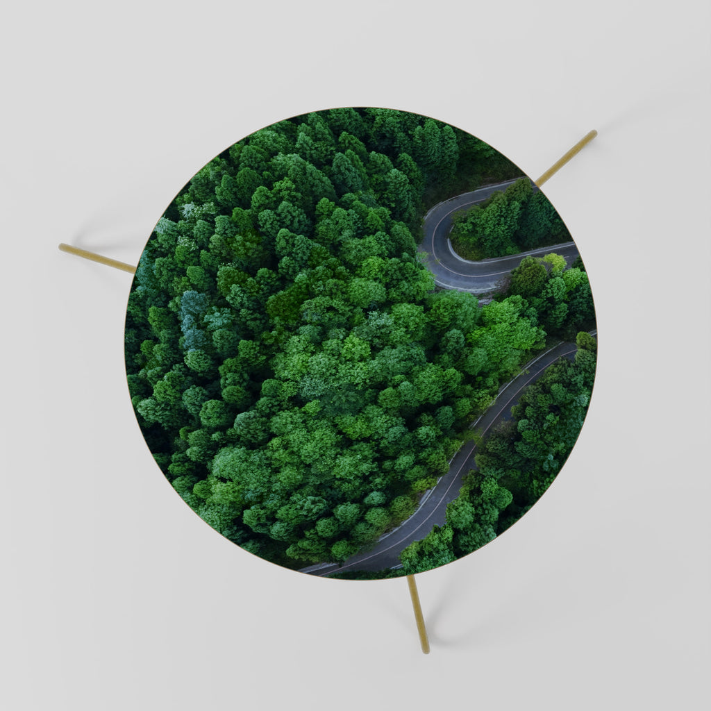 ENCHANTED FOREST RIDE Mesa de Centro 60