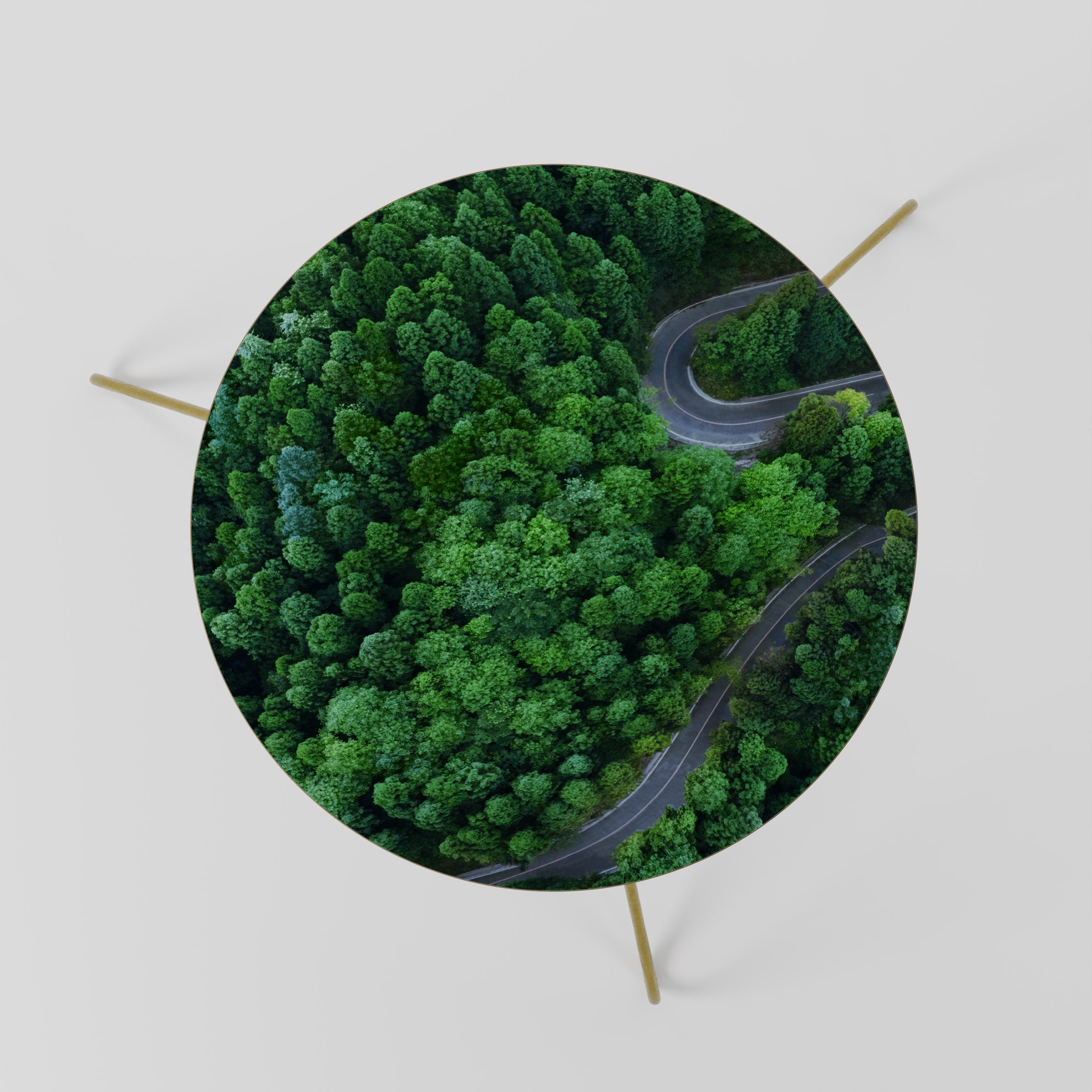 ENCHANTED FOREST RIDE Mesa de Centro 60