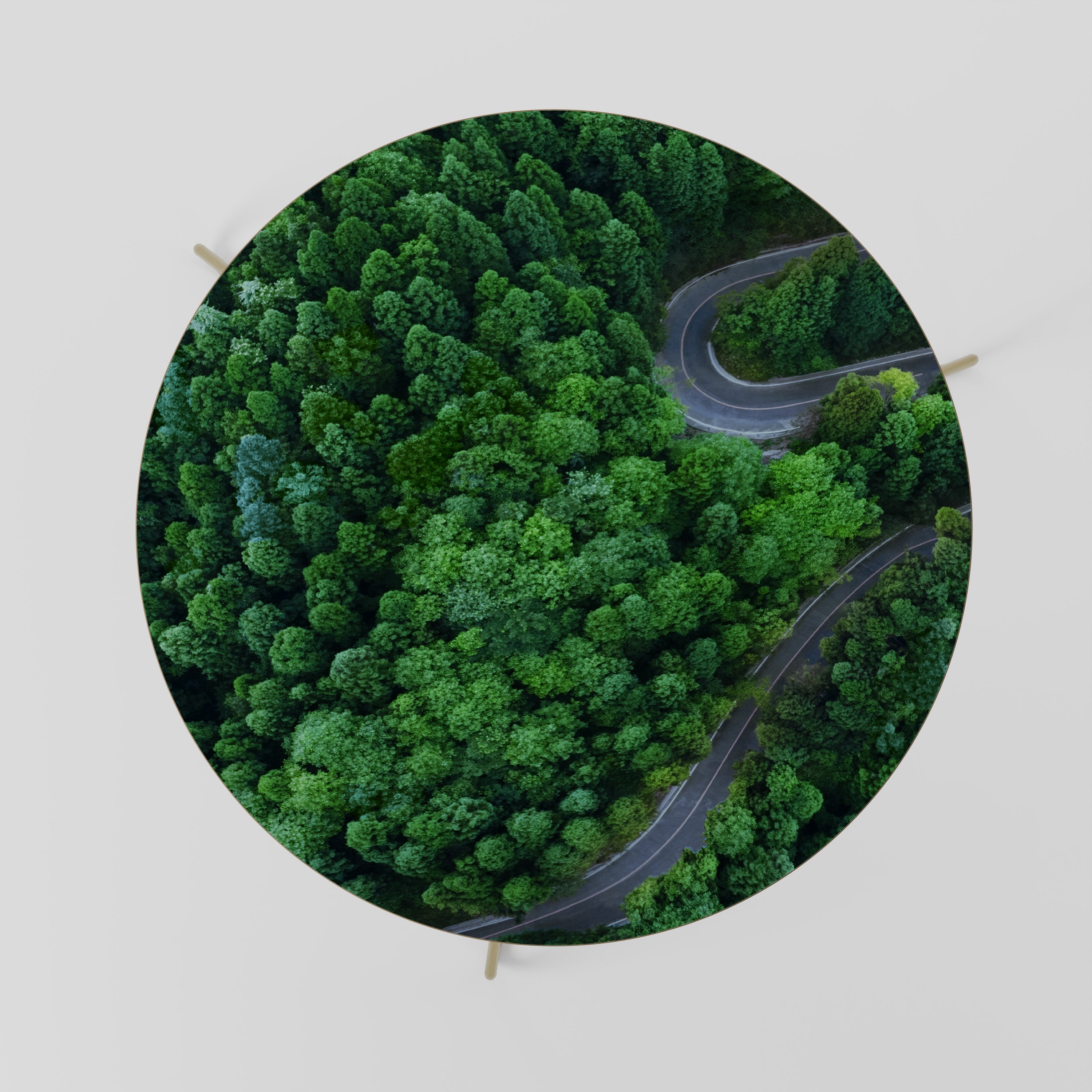 ENCHANTED FOREST RIDE Coffee Table 69