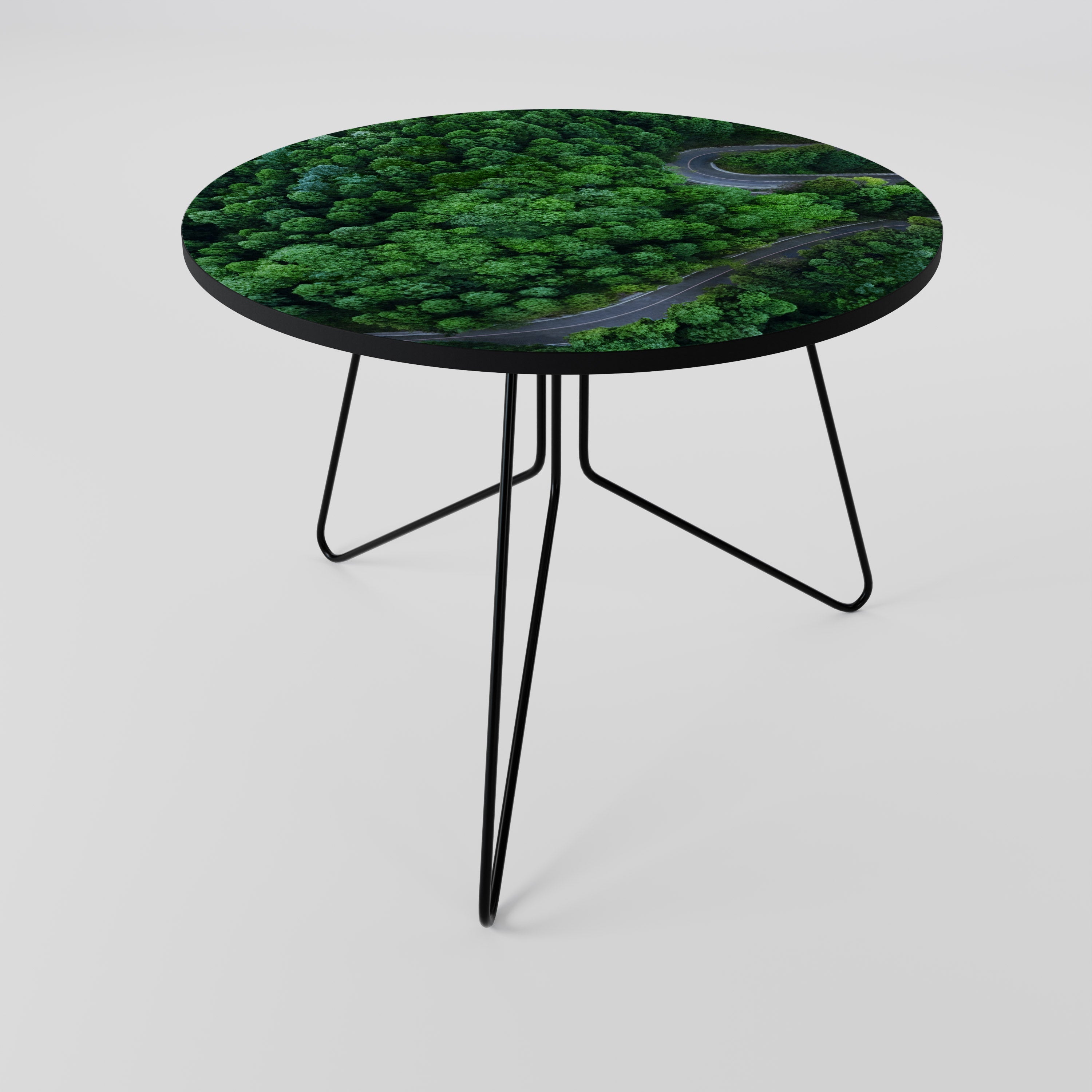 ENCHANTED FOREST RIDE Coffee Table 69