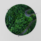 ENCHANTED FOREST RIDE Coffee Table 69