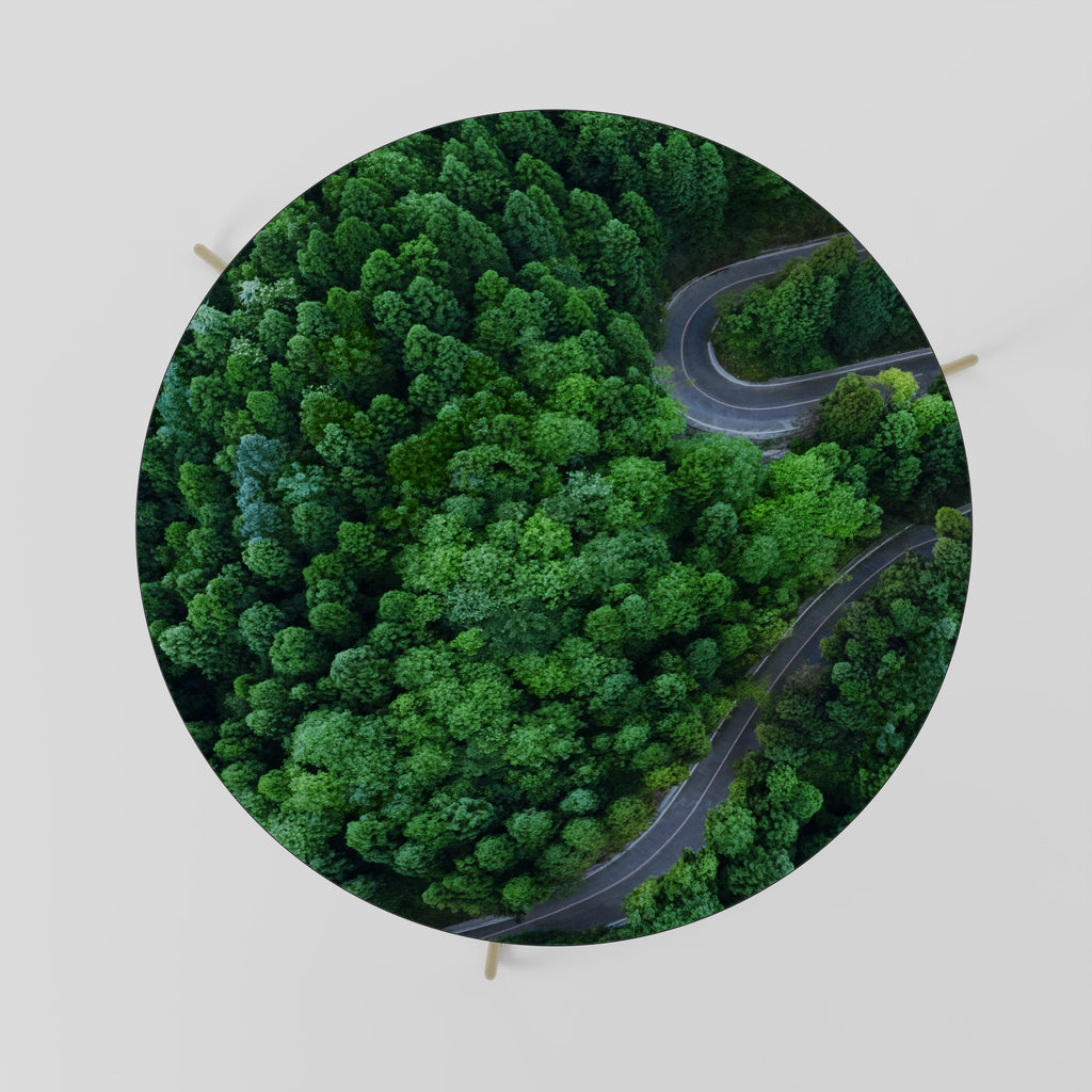 ENCHANTED FOREST RIDE Coffee Table 69