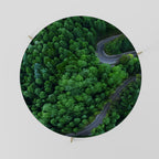 ENCHANTED FOREST RIDE Coffee Table 69