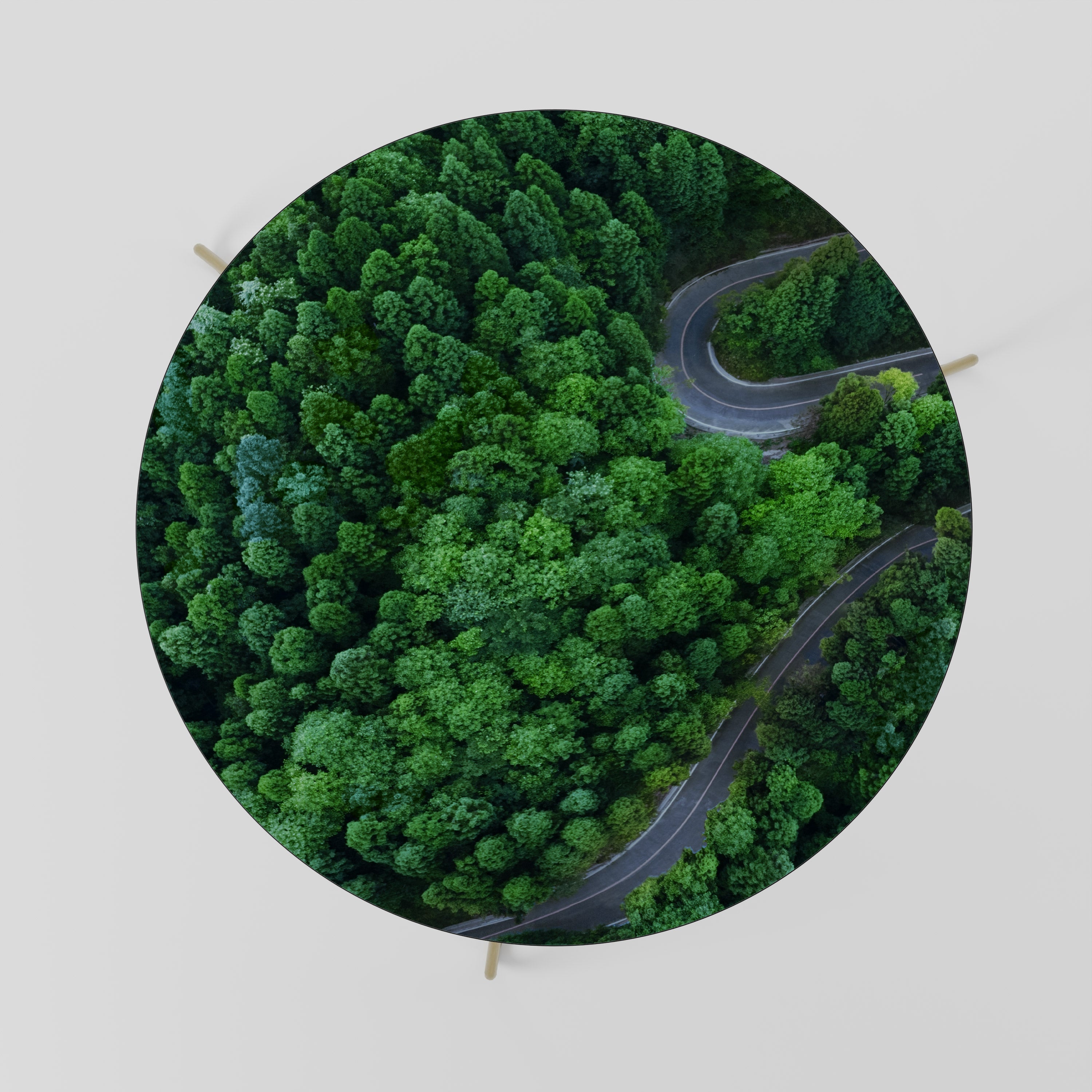 ENCHANTED FOREST RIDE Coffee Table 69