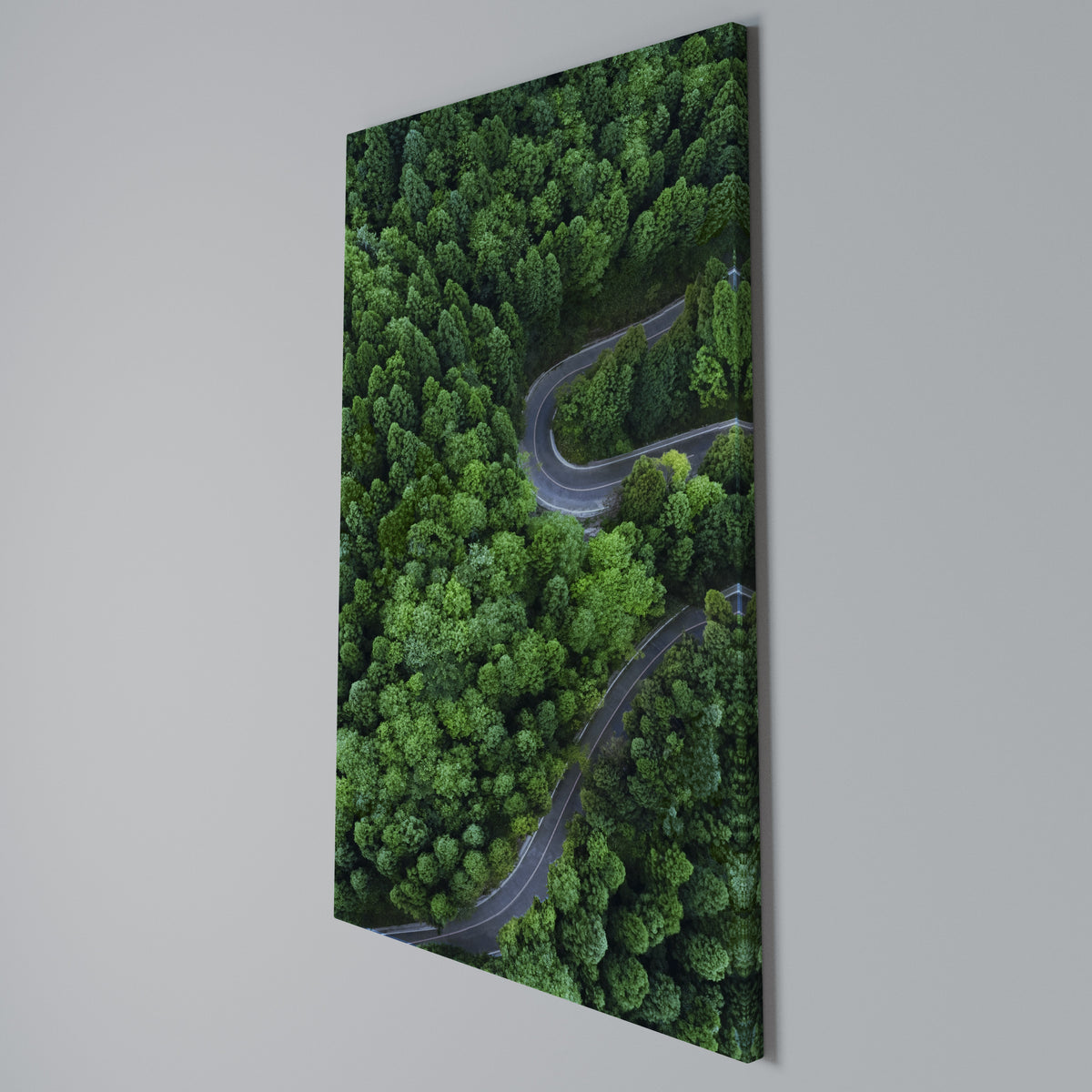 ENCHANTED FOREST RIDE Quadro em tela vertical