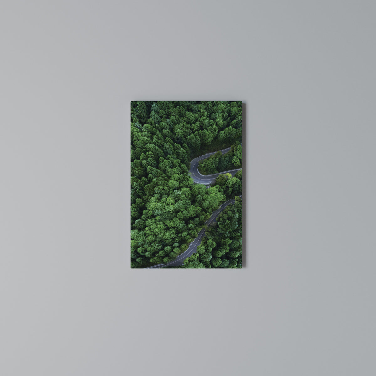 ENCHANTED FOREST RIDE Quadro em tela vertical