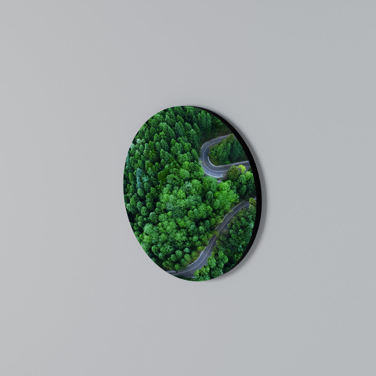 ENCHANTED FOREST RIDE Arte de Parede Redonda