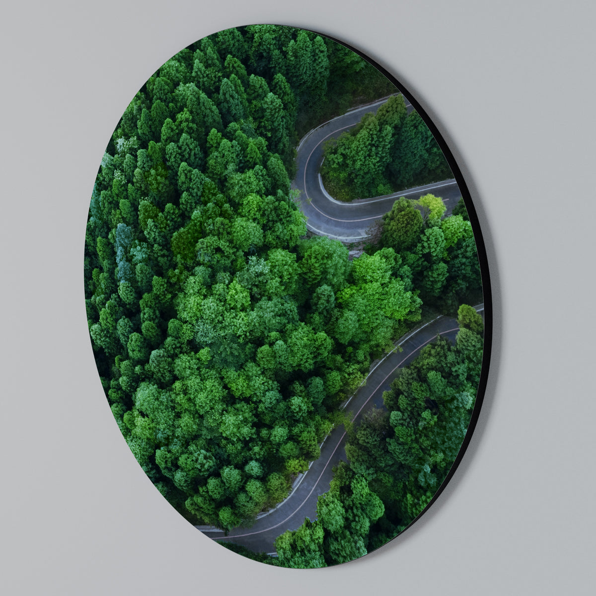 ENCHANTED FOREST RIDE Arte de Parede Redonda