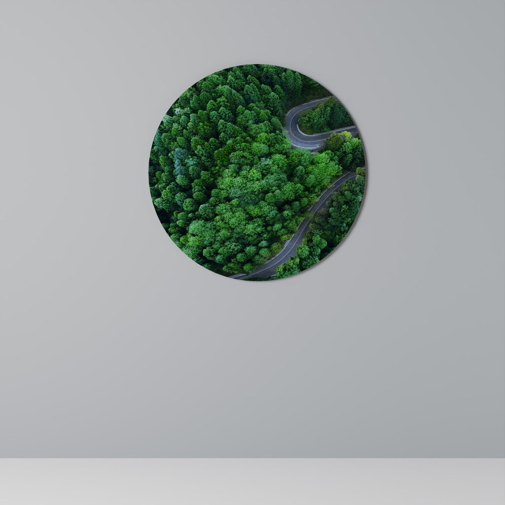 ENCHANTED FOREST RIDE Quadro Redondo Decorativo