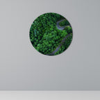 ENCHANTED FOREST RIDE Quadro Redondo Decorativo