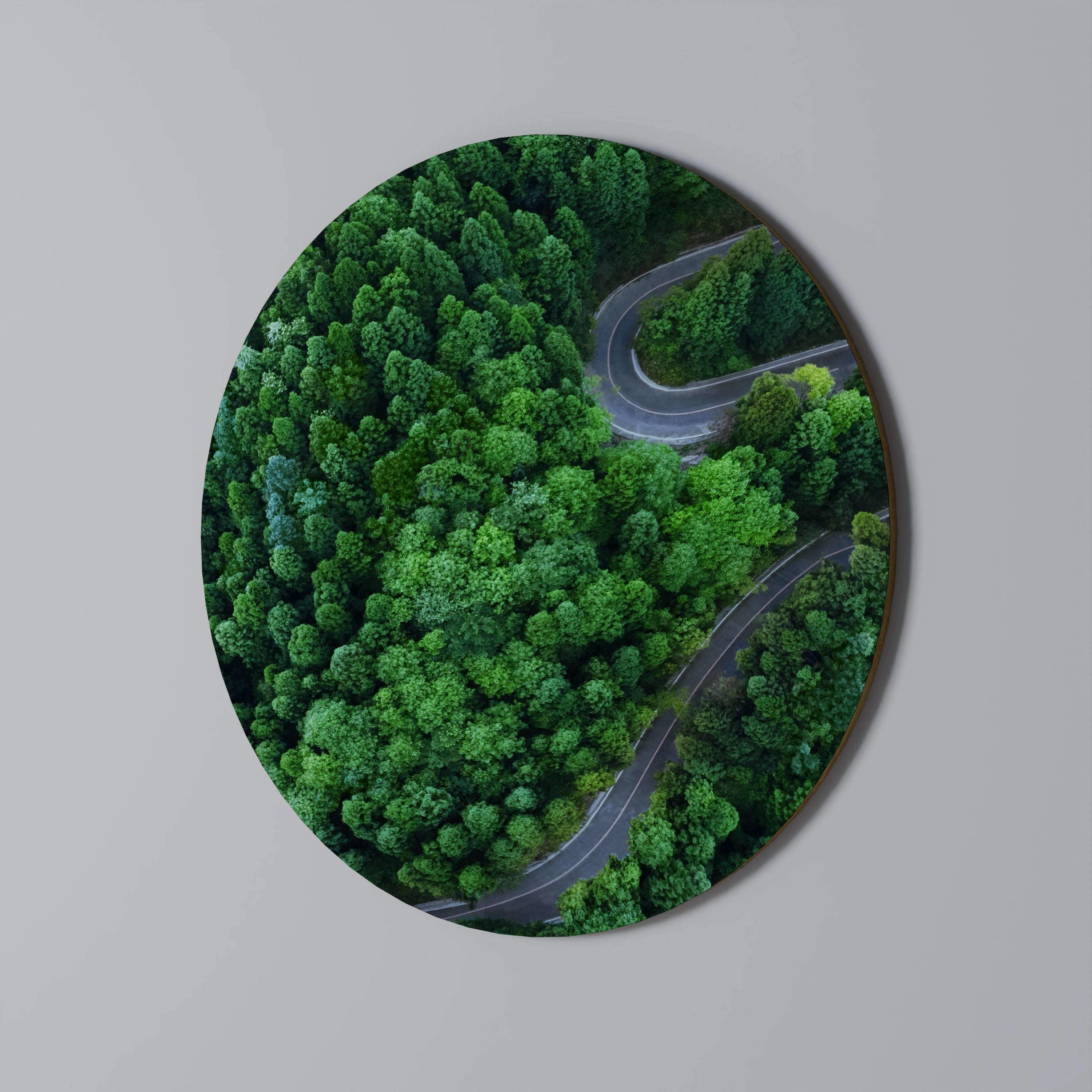 ENCHANTED FOREST RIDE Quadro Redondo Decorativo