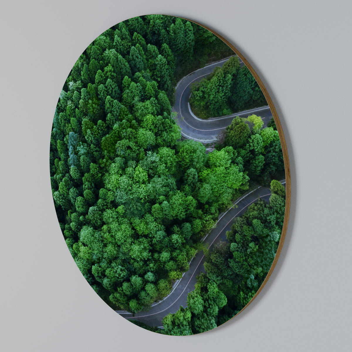 ENCHANTED FOREST RIDE Arte de Parede Redonda