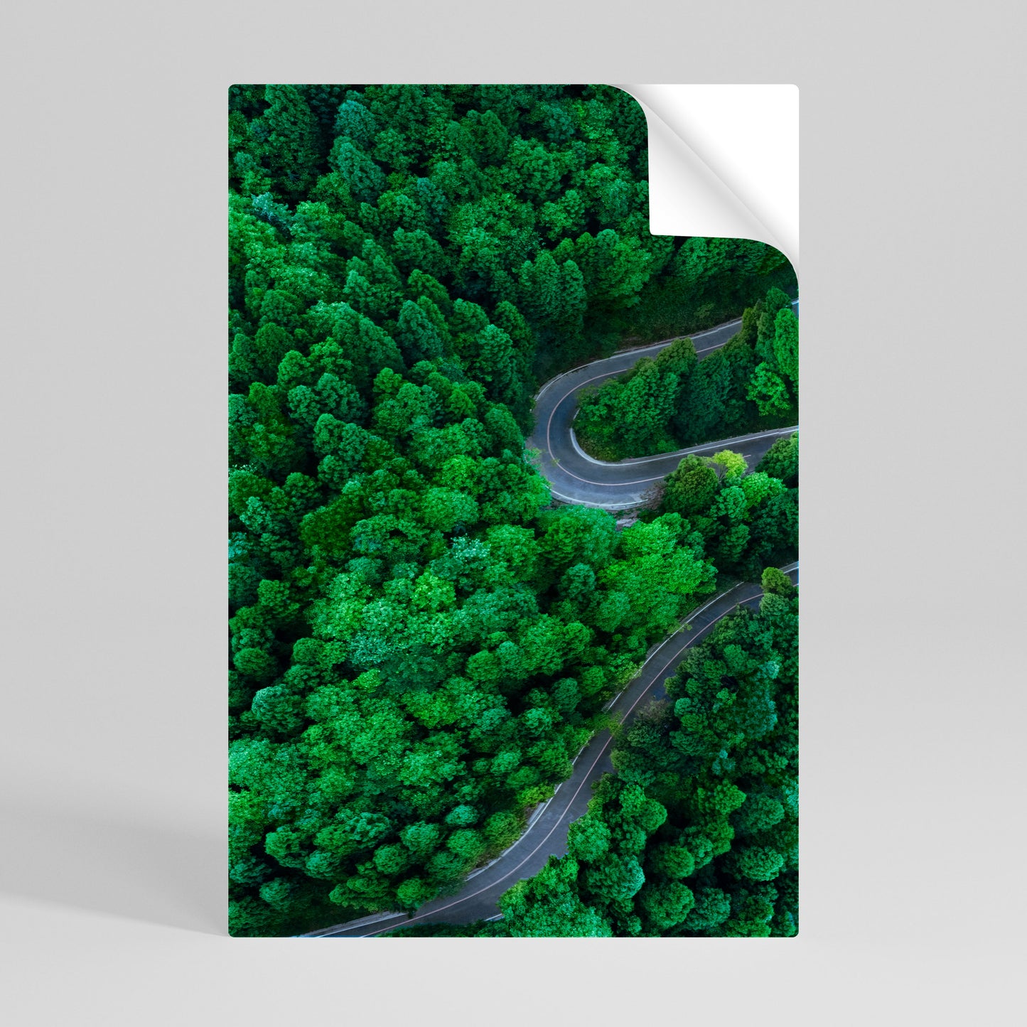 ENCHANTED FOREST RIDE Póster Autocolante Vertical