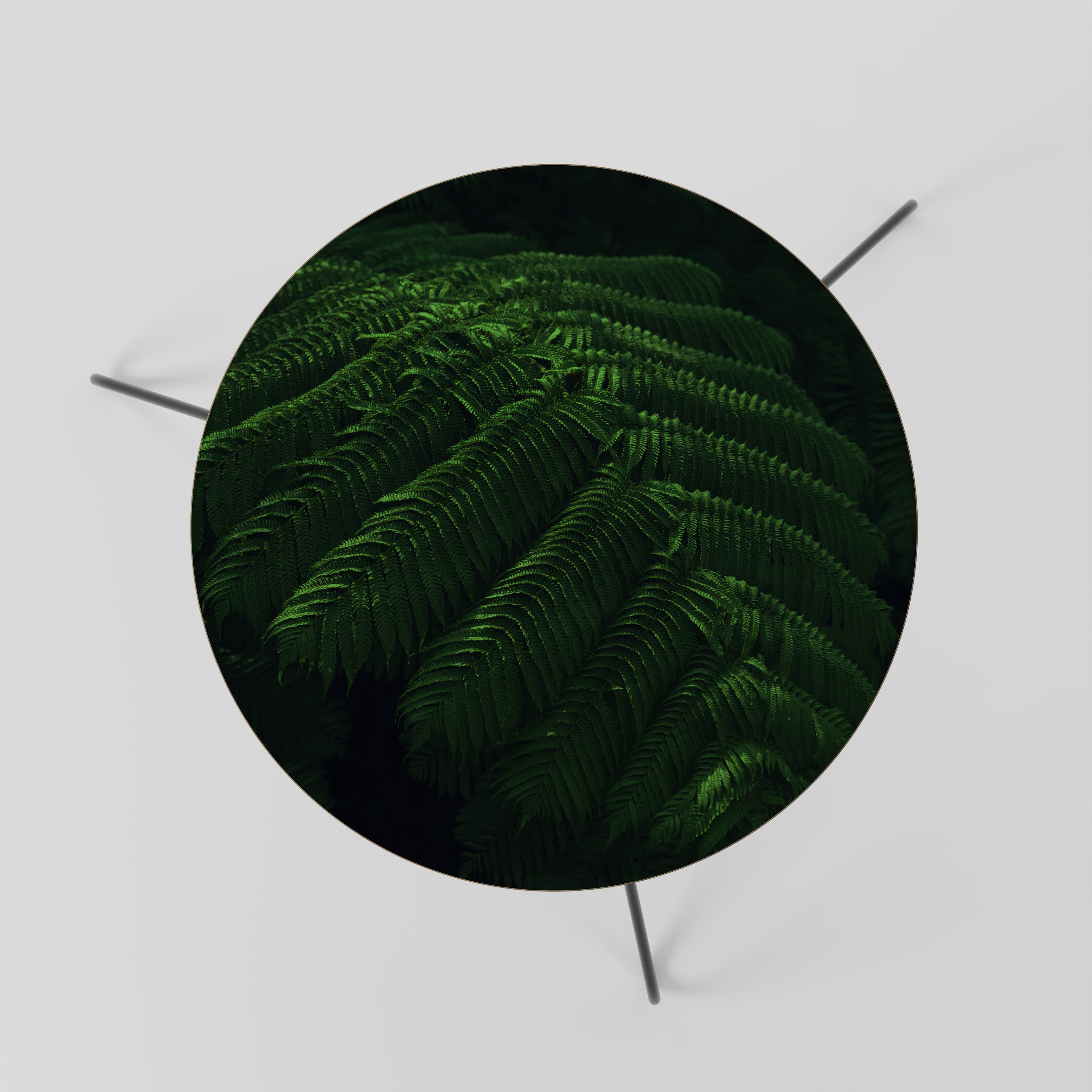 FERN FANTASY Mesa de Centro 60