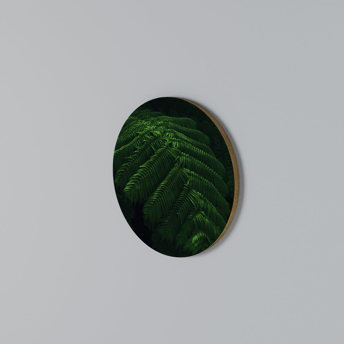 FERN FANTASY Arte de Parede Redonda