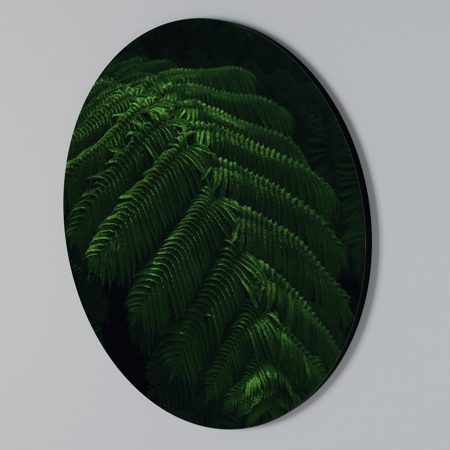 FERN FANTASY Arte de Parede Redonda