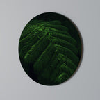 FERN FANTASY Quadro Redondo Decorativo