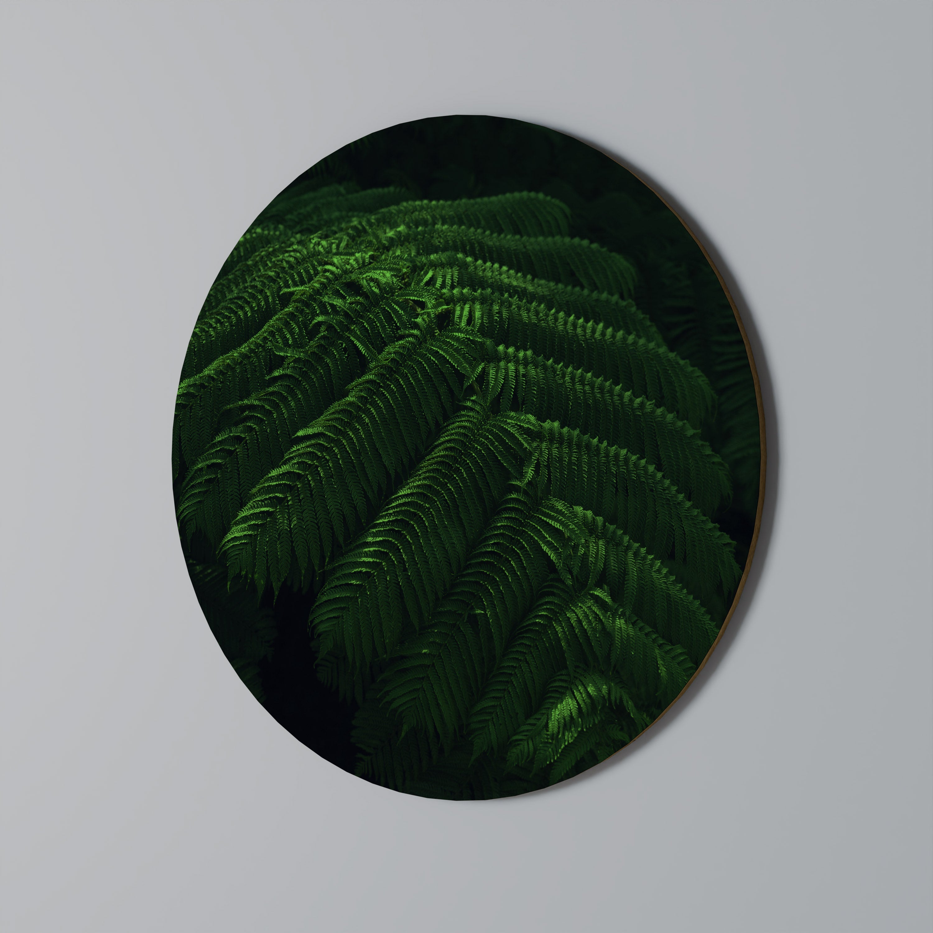 FERN FANTASY Round Wall Art