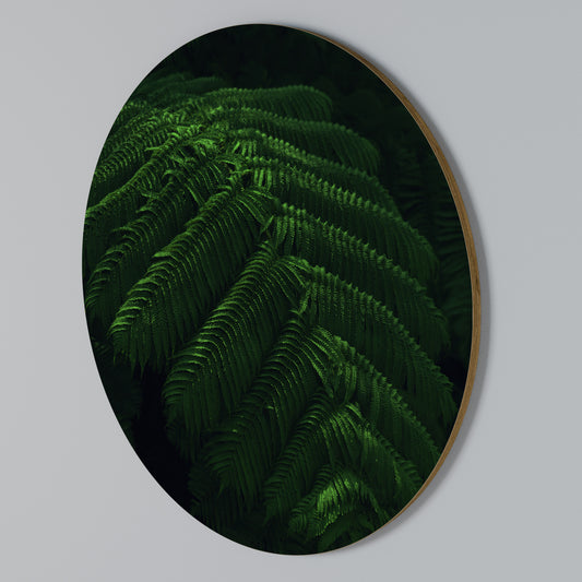 FERN FANTASY Arte de Parede Redonda