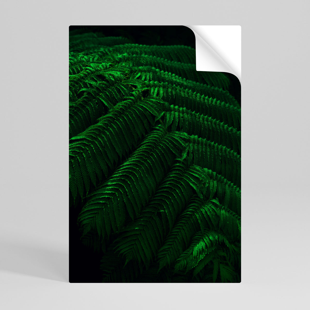 FERN FANTASY Póster Autocolante Vertical
