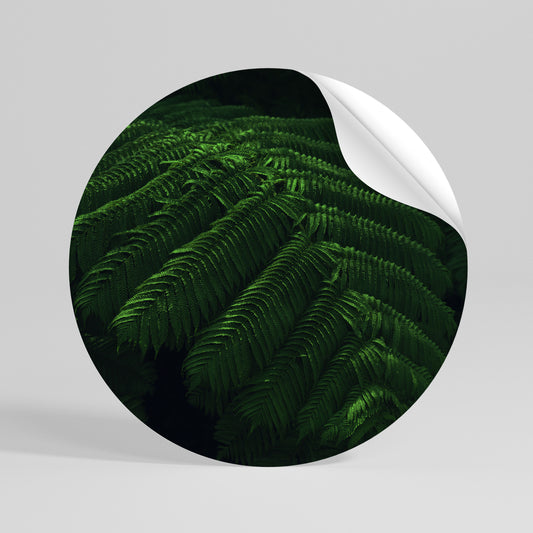 FERN FANTASY Autocolante Redondo Removível