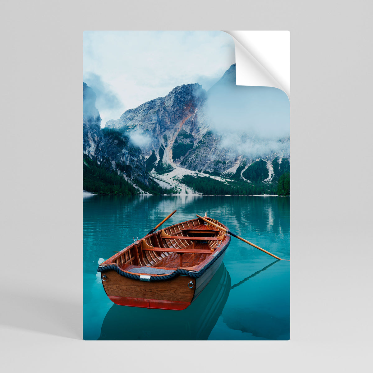 FOGGY MOUNTAIN OASIS Póster Autocolante Vertical