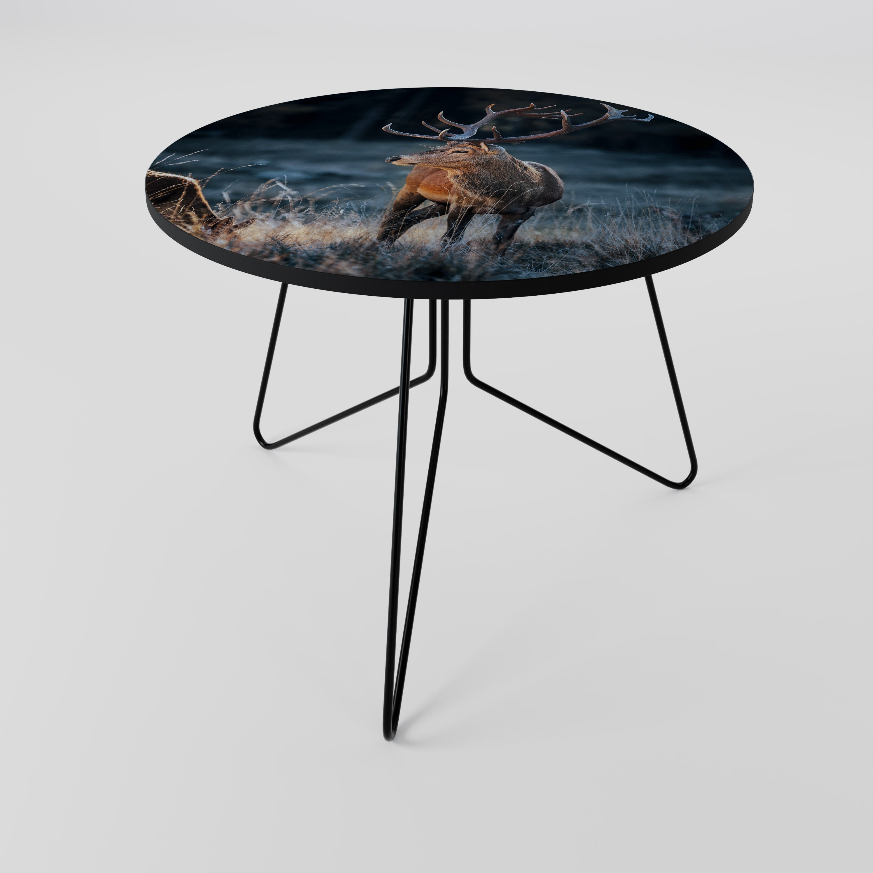 ANTLERED REGALITY Coffee Table 69