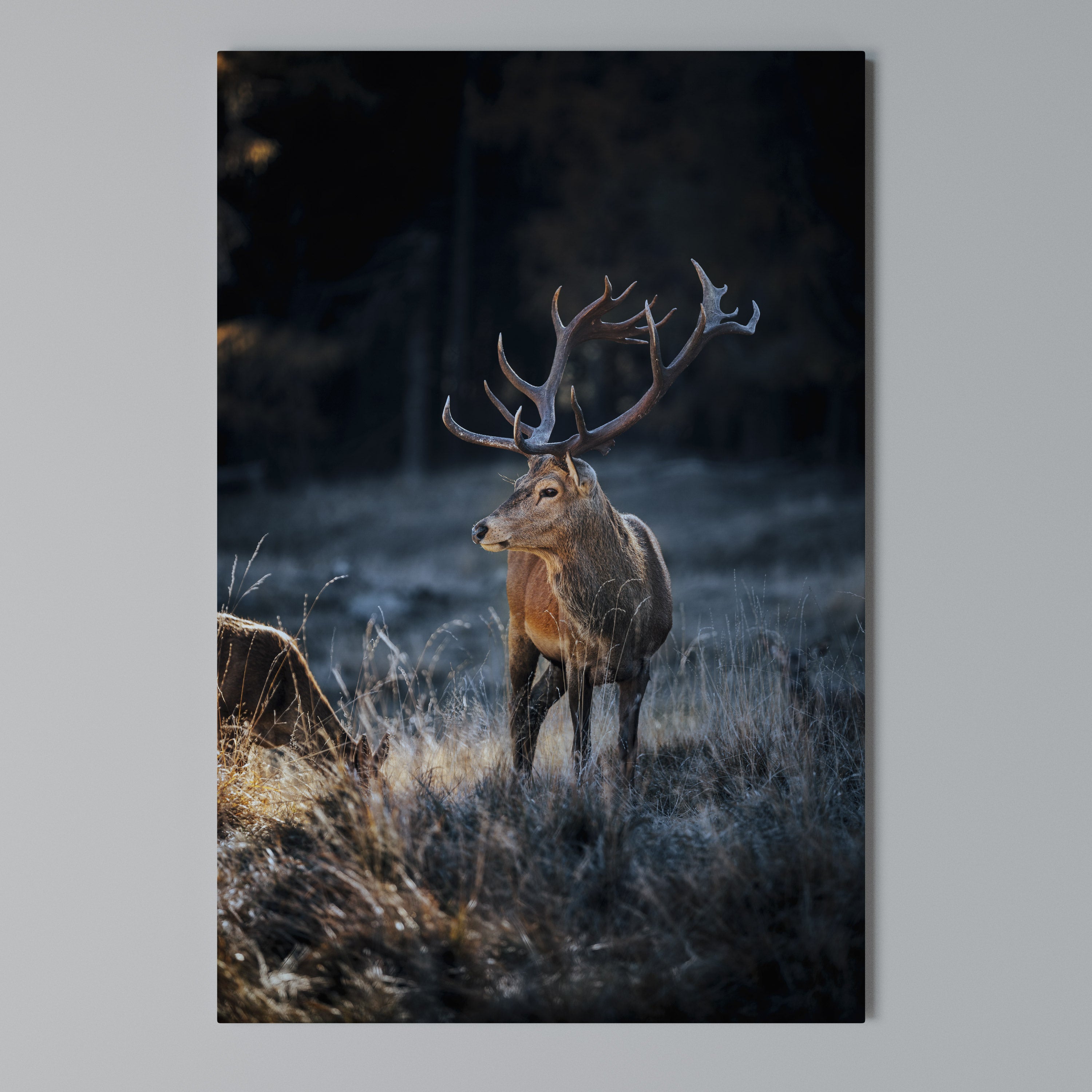 ANTLERED REGALITY Quadro em tela vertical