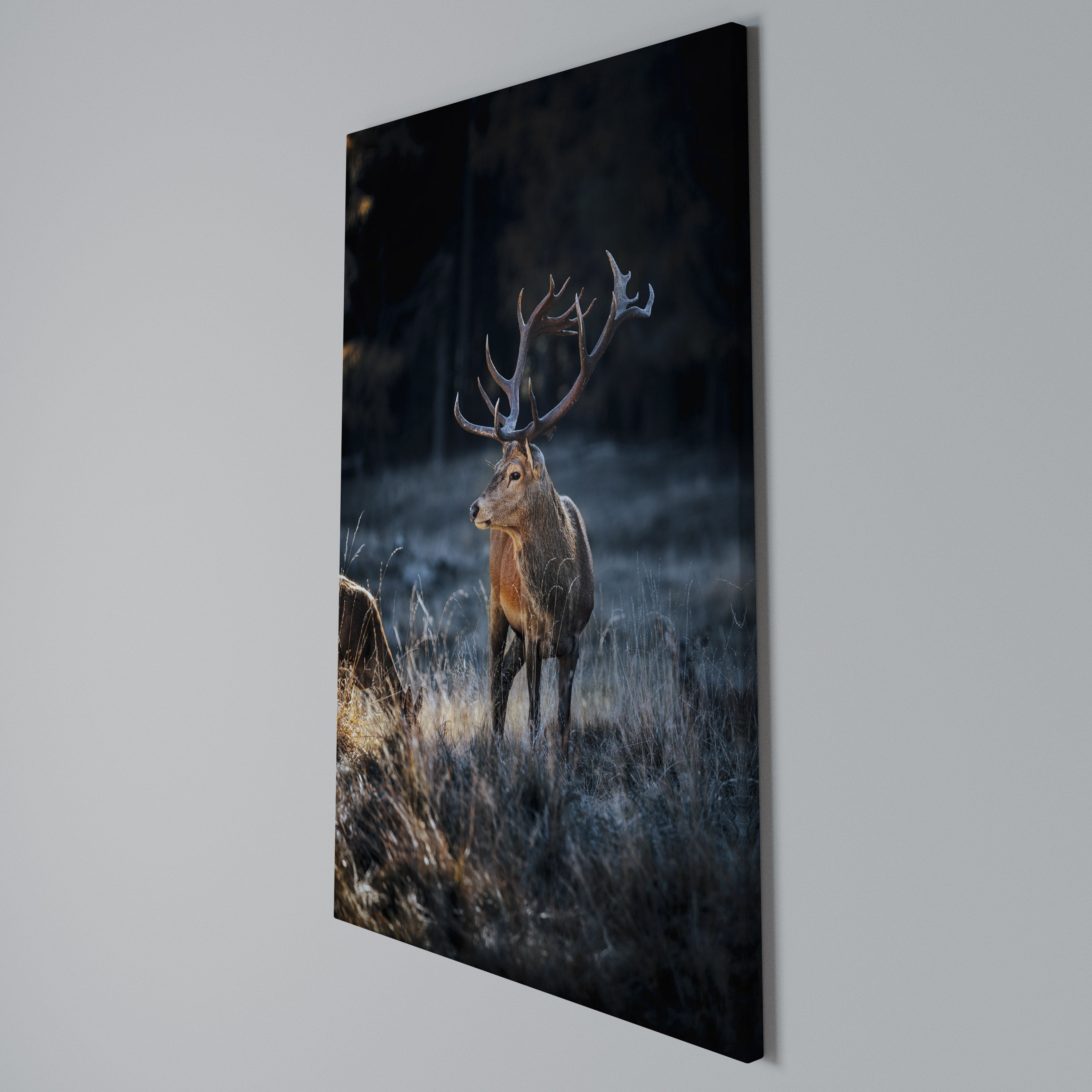ANTLERED REGALITY Vertical Canvas Print