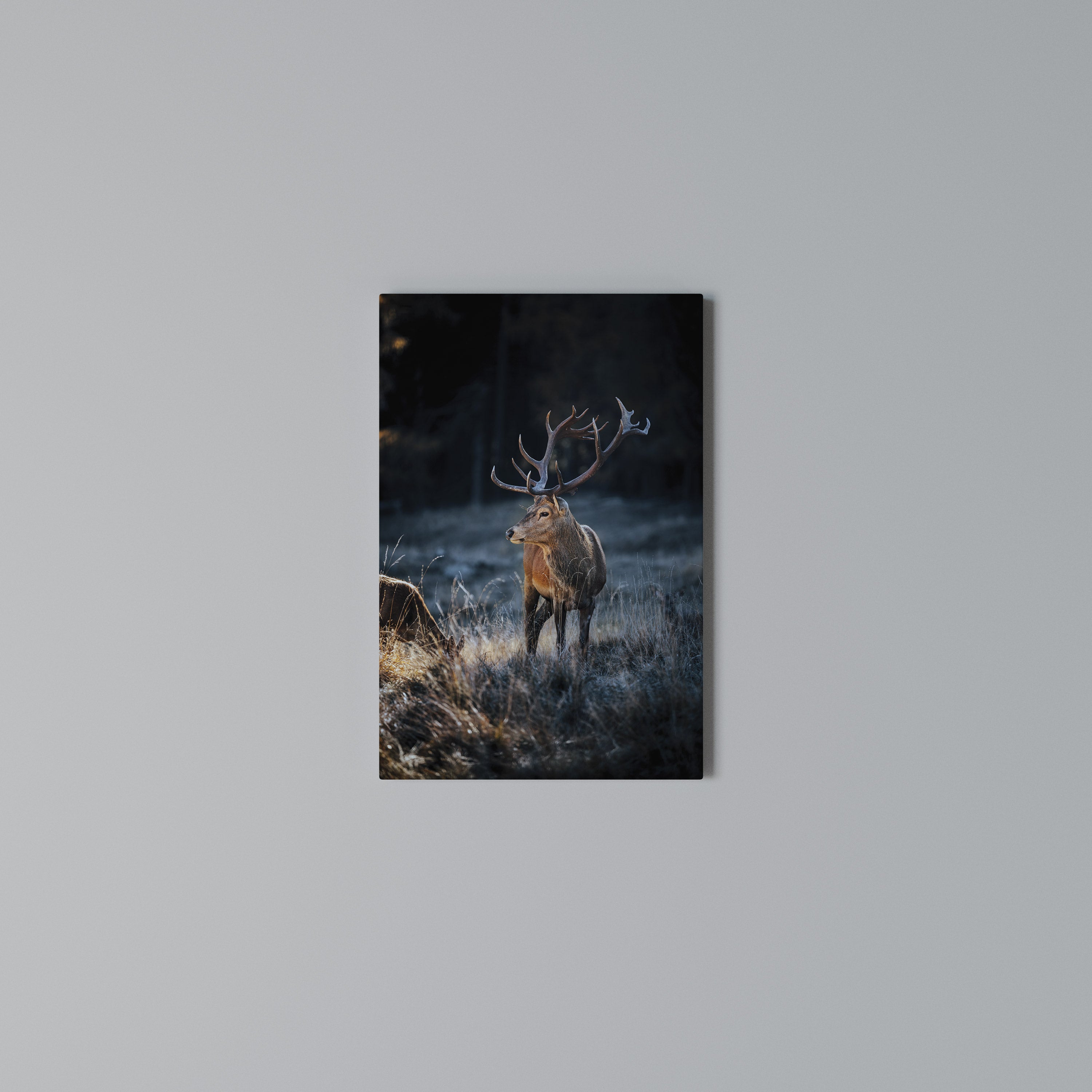 ANTLERED REGALITY Vertical Canvas Print