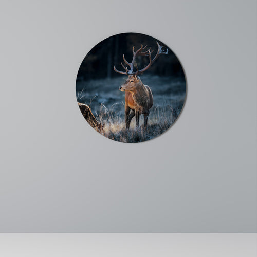 ANTLERED REGALITY Quadro Redondo Decorativo