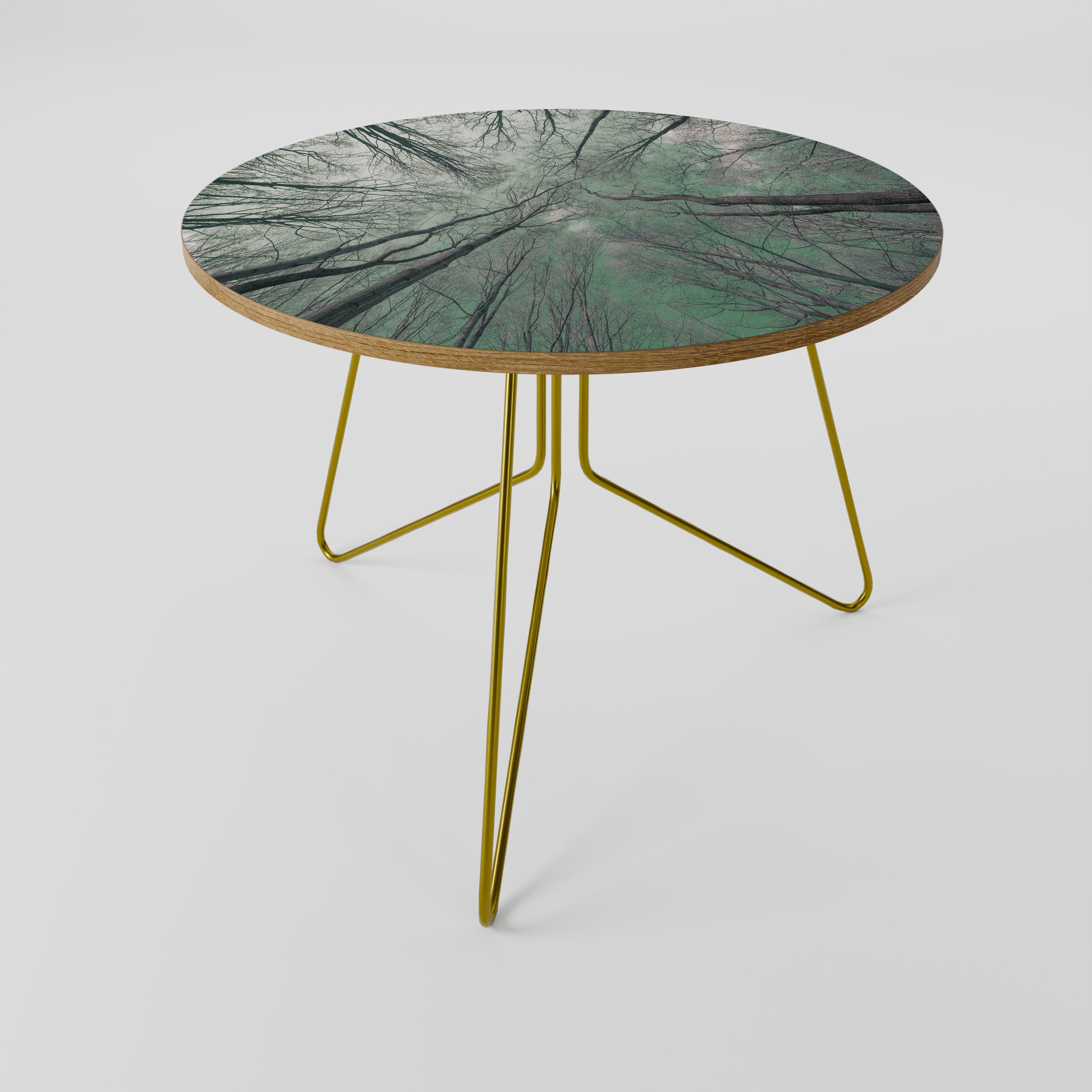 SKYWARD FANTASIES Coffee Table 69