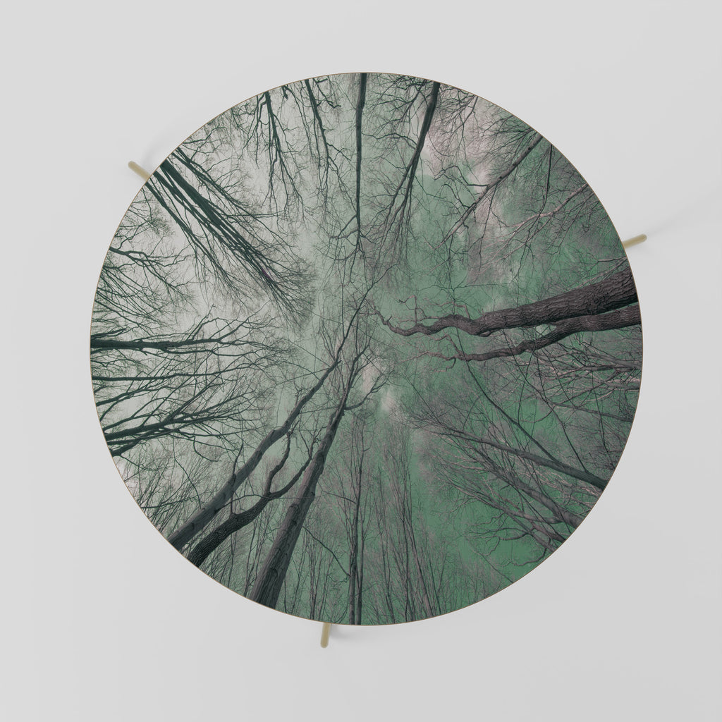 SKYWARD FANTASIES Coffee Table 69