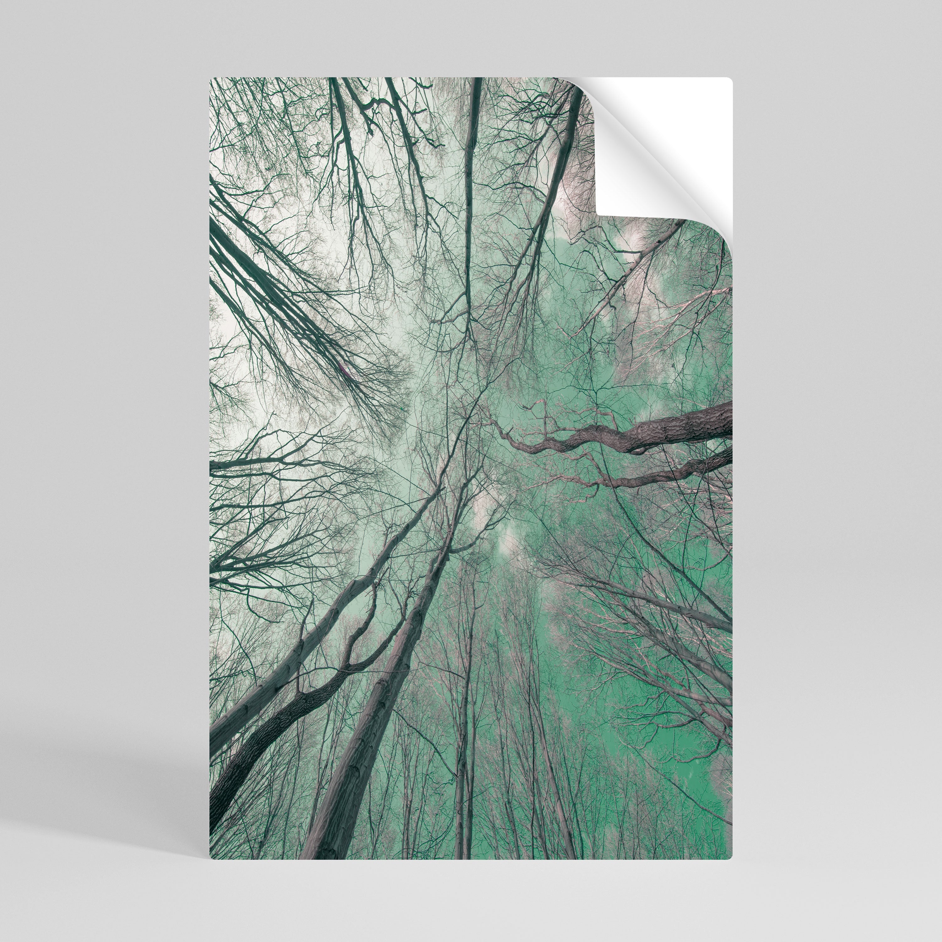 SKYWARD FANTASIES Poster Vertical Autocolante