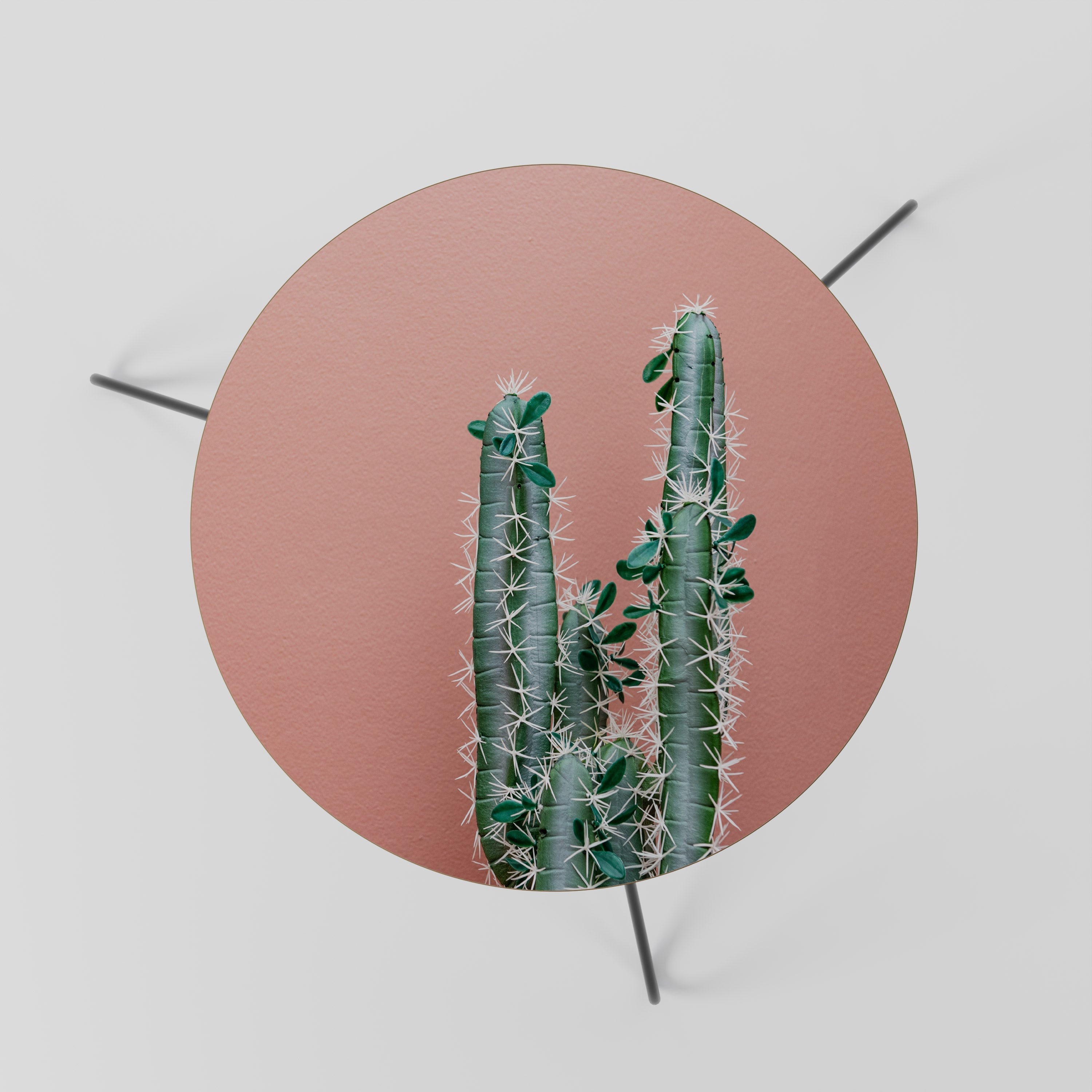 LORD CACTUS Mesa de Centro 60